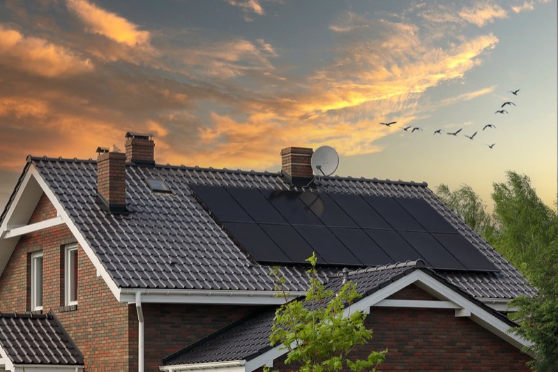 Solar Purchasing Options: Cash, Loan, Lease & PPA